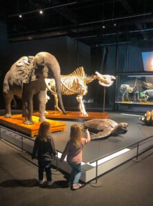 Museum Blau with kids