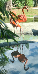 Tiergarten Schönbrunn, Zoo, Wien