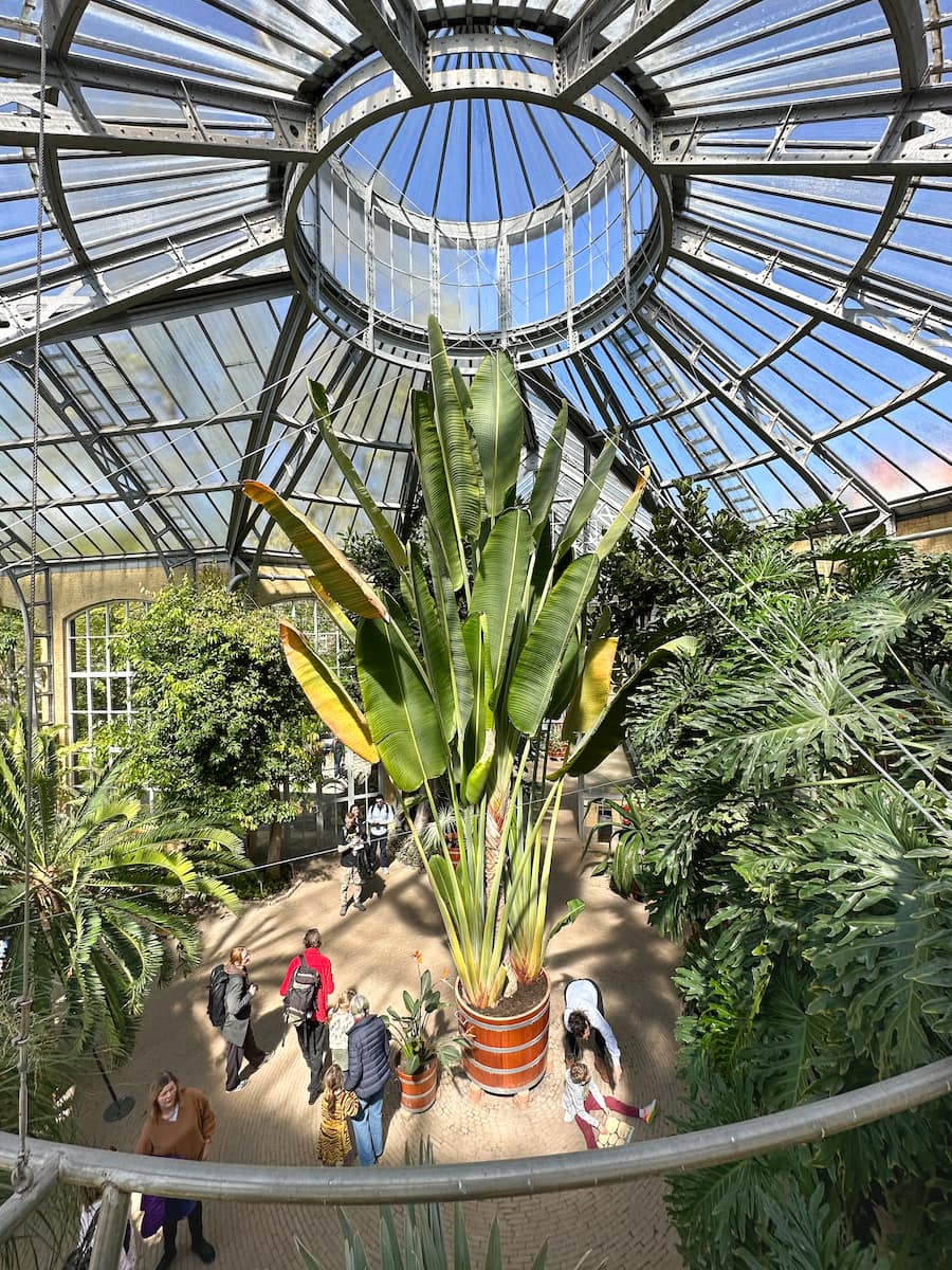 Hortus Botanicus Amsterdam Öffnungszeiten & Preise 2025